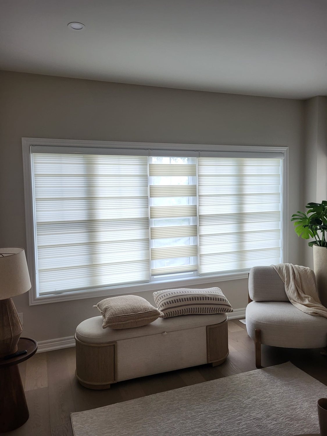 Zebra blinds installed in a bright living room