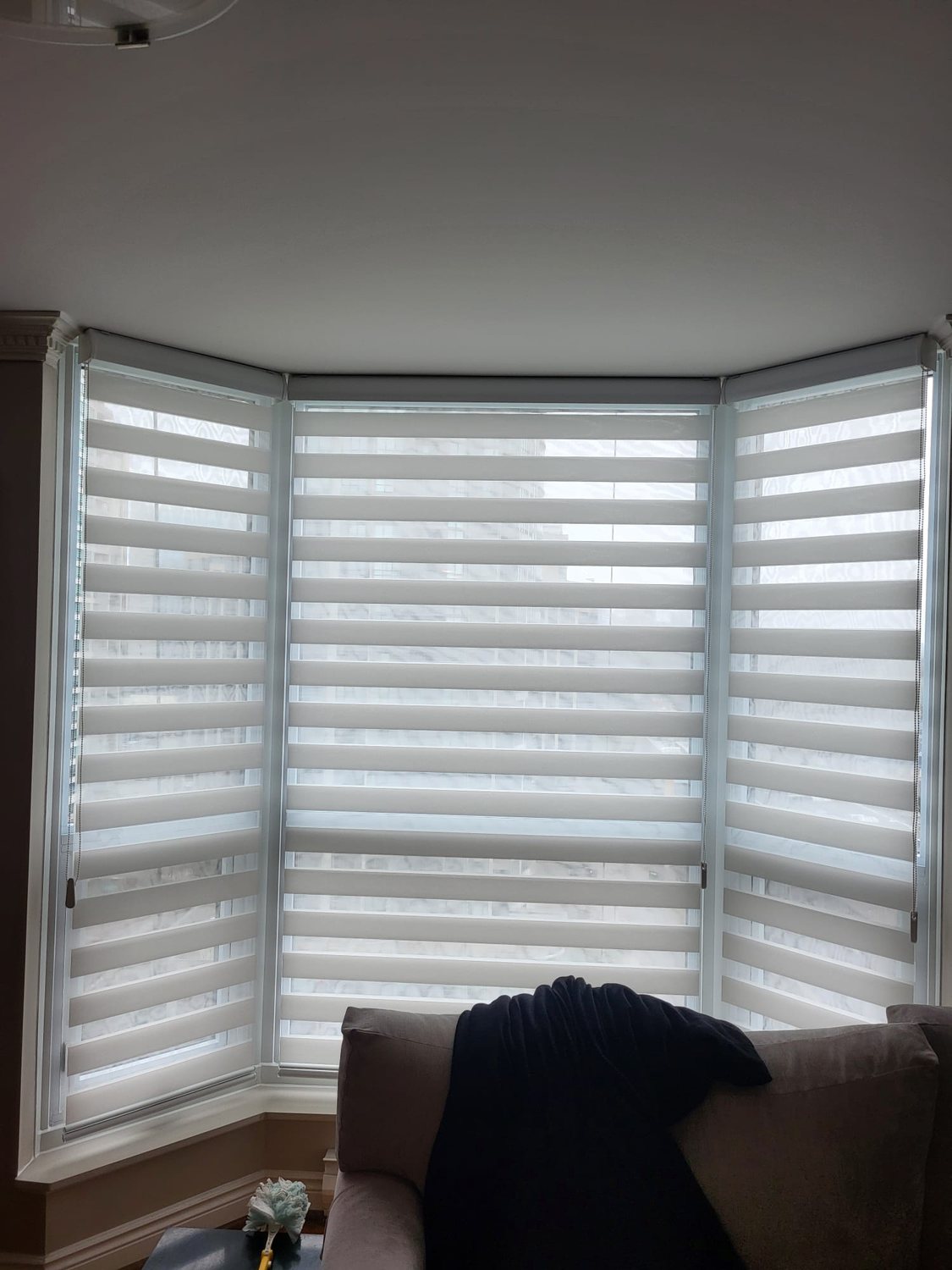 Zebra blinds on a bay window
